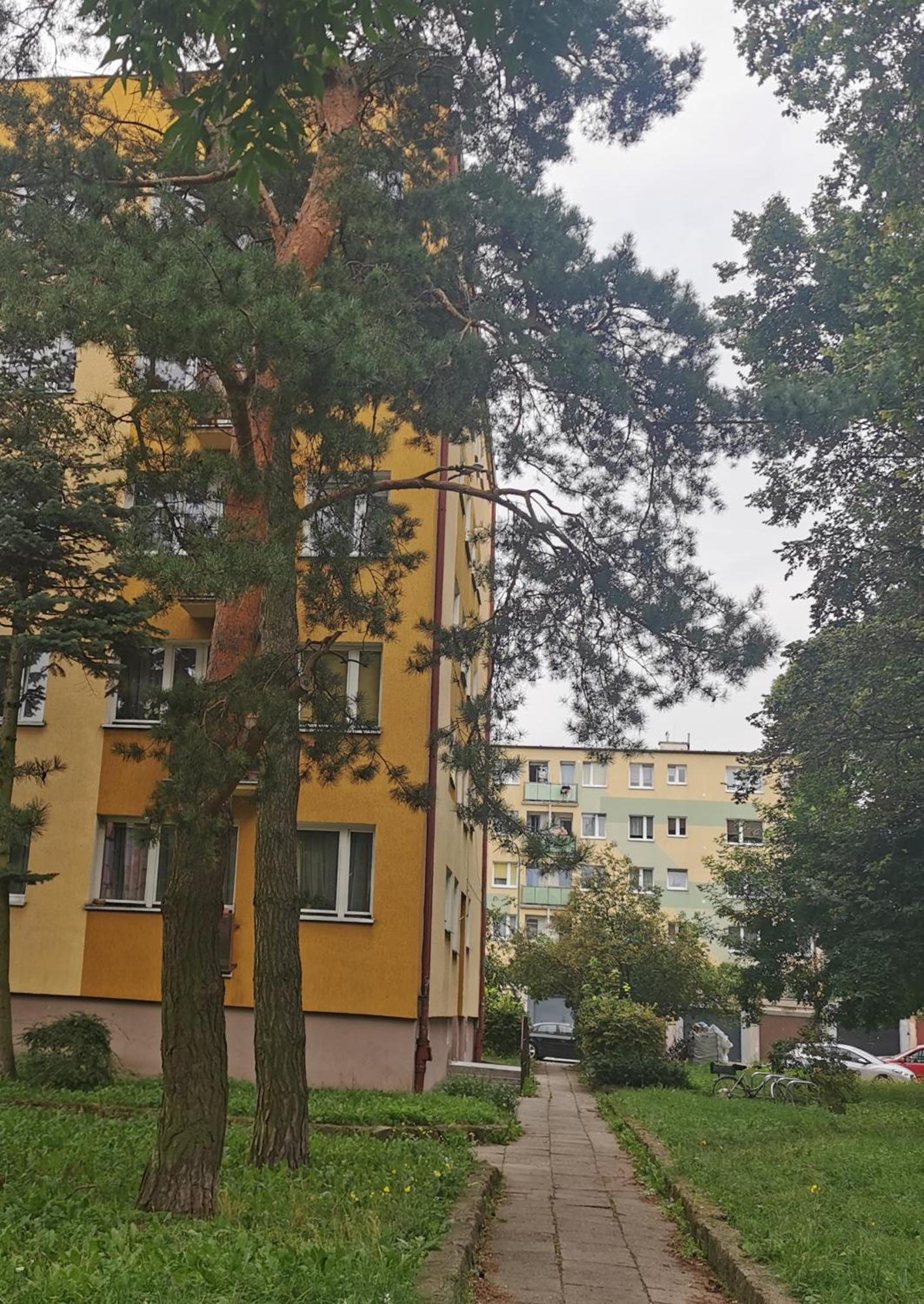 Mieszkanie Brzezno Przy Plazy Gdansk Exterior photo